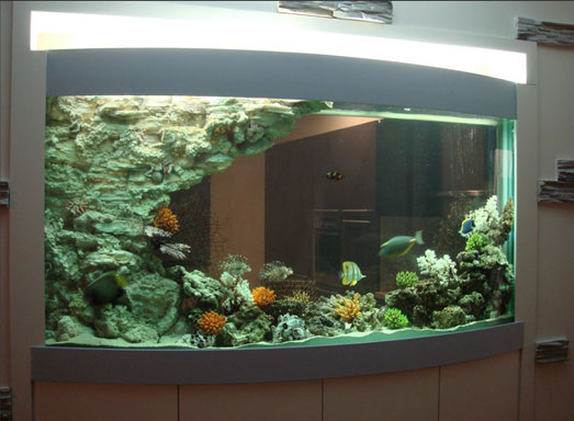 Аквариумистика - домики для аквариума